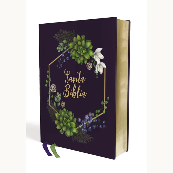 Biblia NVI Revision 2022 Artistica Tapa Dura Canto Diseño PJR